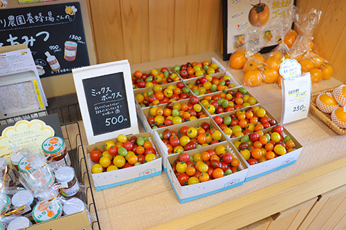 �q�[�g�|���v���p�����H���Ă���g�}�g�_�Ƃ��܂ւ��b���f���܂��� �C���[�W6