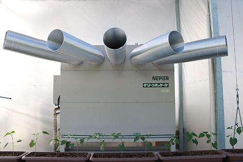 �q�[�g�|���v���p�����H���Ă���g�}�g�_�Ƃ��܂ւ��b���f���܂��� �C���[�W8