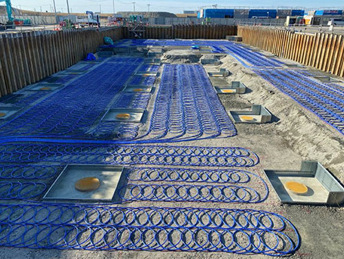 ���k���̕����̖����p�M�����p�ɂ��ȃG�l�V�X�e���𓱓� �C���[�W2