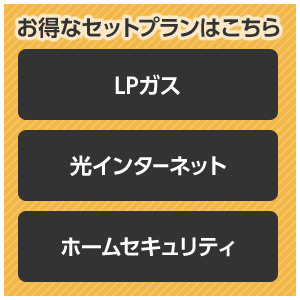 �����ȃZ�b�g�v�����͂����� LP�K�X ���C���^�[�l�b�g �z�[���Z�L�����e�B