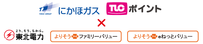 �ɂ��كK�X TLC�|�C���g �~ ���k�d�́@��肻���{�t�@�~���[�o�����[