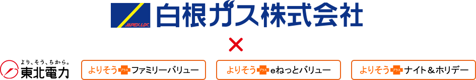 �����K�X�@�~���k�d�͂�肻���{�t�@�~���[�o�����[�E��肻���{���˂��ƃo�����[�E��肻���{�i�C�g���z���f�[�̃P�[�X
