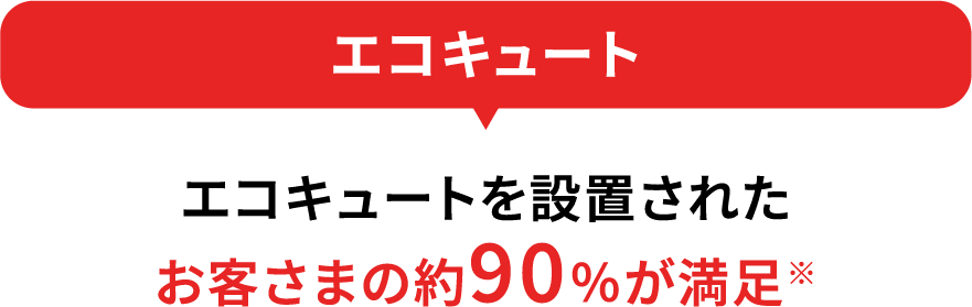 �G�R�L���[�g��ݒu���ꂽ���q���܂̖�90%������