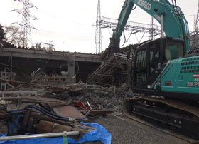 ��̓P����