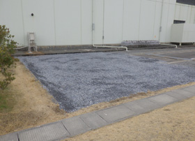 ��̓P����