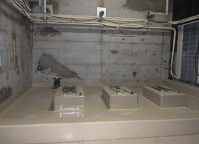 ��̓P����