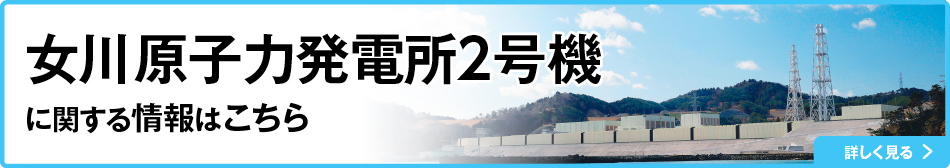 ���쌴�q�͔��d���Q���@�Ɋւ�����͂�����