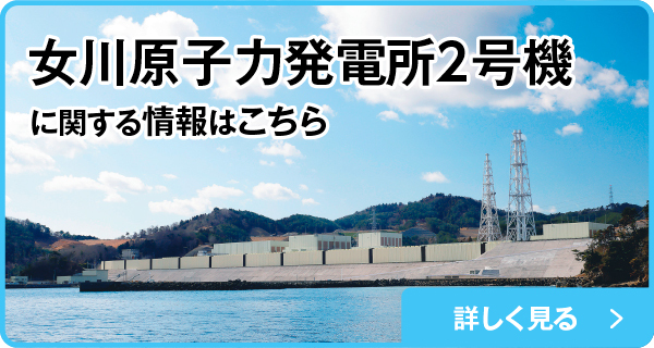 ���쌴�q�͔��d���Q���@�Ɋւ�����͂�����