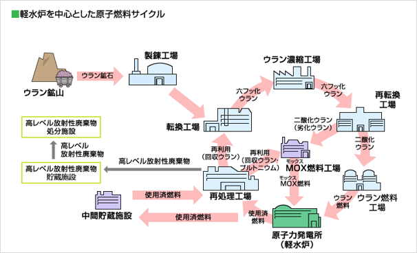 �ʐ^:�y���F�𒆐S�Ƃ������q�͔R���T�C�N��