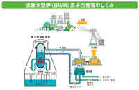 �������^�F(BWR)���q�͔��d�̂�����