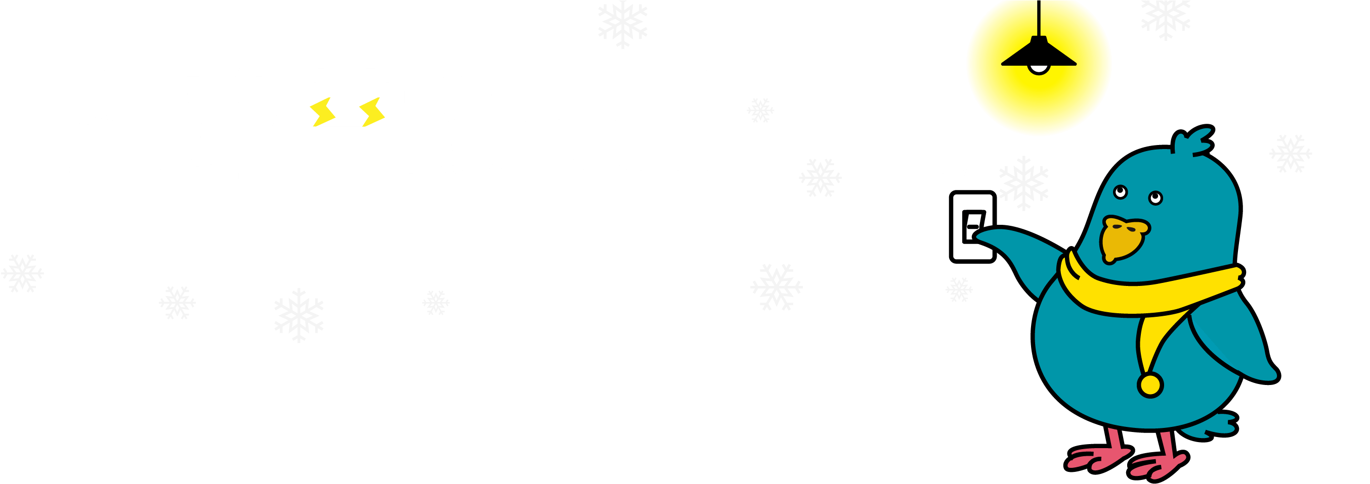 ���k�d�͓~�̐ߓd�`�������W�L�����y�[���B