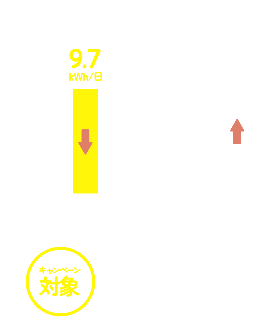 �L�����y�[���Ώہ^�L�����y�[���ΏۊO