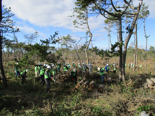 2015�N11��28�� �A���Ɍ������������s���܂���