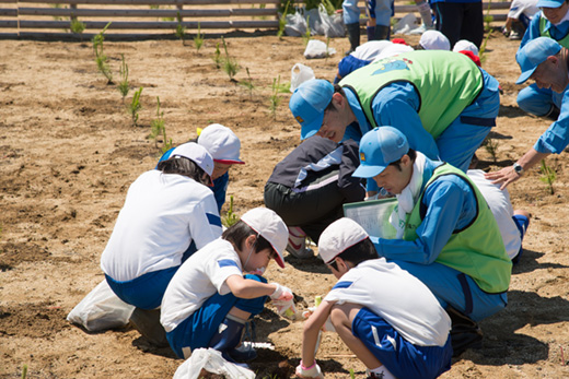 2016�N5��20���A6��10�� �A�������{���܂���