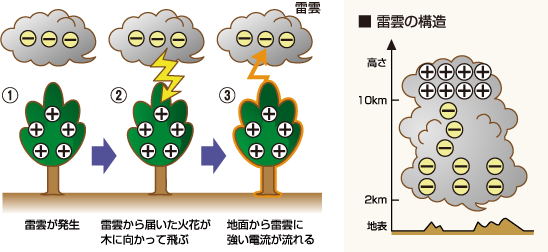 ���͂Ȃ��N����́H