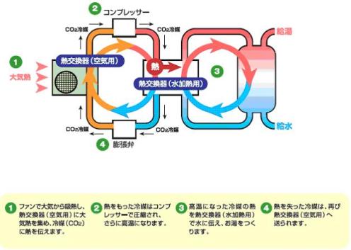 �u�G�R�L���[�g�v�̂�����