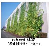 ��N�͔̍|�󋵁i�{���Z�p�Z���^�[�j