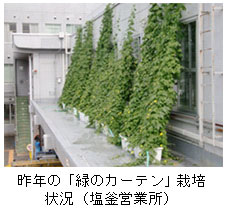 ��N�́u�΂̃J�[�e���v�͔|�󋵁i�����c�Ə��j