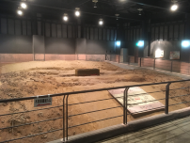 ���S�F�ۑ���