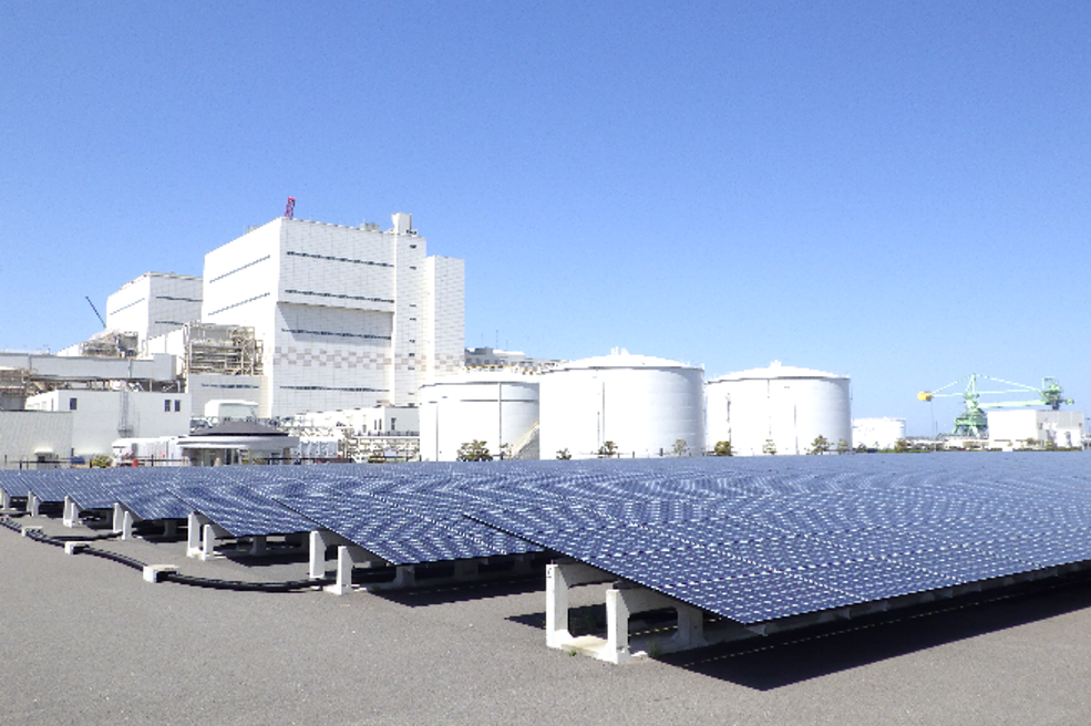 �������z�����d��