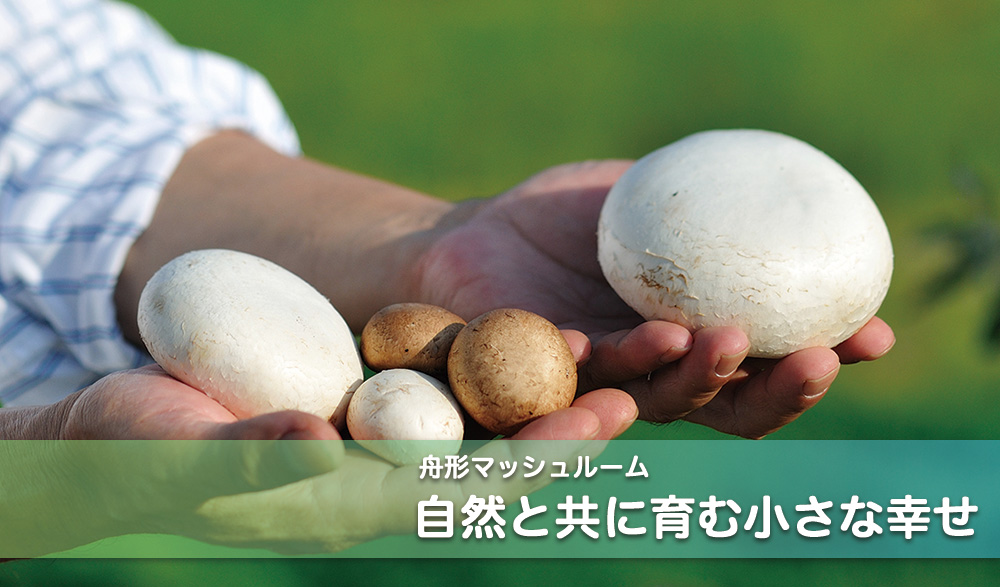 �M�`�}�b�V�����[�� ���R�Ƌ��ɕ��ޏ����ȍK��