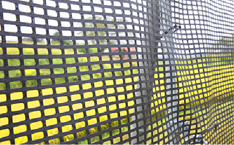 ���ɑ΂�����g��3�`�L�C�̌y���Ɣ�U�h�~�΍�` �C���[�W