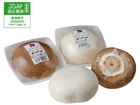 �����\�ȎЉ�ɍv�����邽�߁A���ɔz�������_�@�ɒ��� �C���[�W