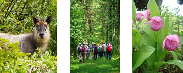 �K�؂ȐX�ъǗ���Đ��\�G�l���M�[�̓����ɂ��J�[�N���W�b�g�̑n�o