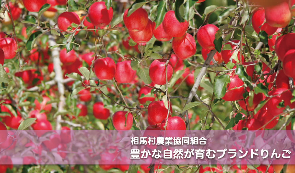 ���n���_�Ƌ����g��