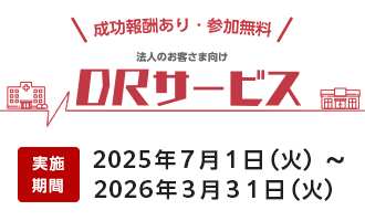 2025DR�T�[�r�X