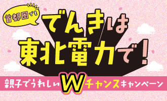 ��s���ł��ł񂫂͓��k�d�͂ŁI�e�q�ł��ꂵ��W�`�����X�L�����y�[��