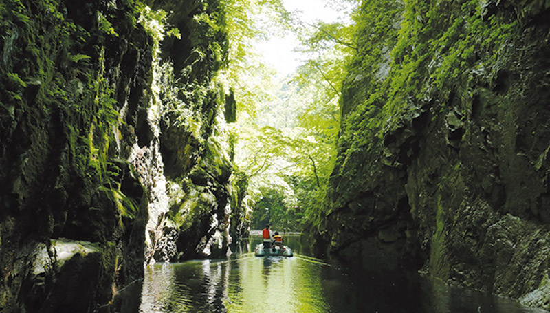 �����c�������@�l�ŏ�샊�o�[�c�[���Y���l�b�g���[�N