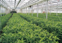 �d���V�X�e���������� �ʐ^