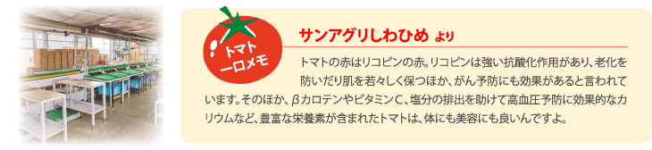 �g�}�g��������F�g�}�g�̐Ԃ̓��R�s���̐ԁB���R�s���͋����R�_����p������A�V����h�����蔧����X�����ۂق��A����\�h�ɂ����ʂ�����ƌ����Ă��܂��B���̂ق��A���J���e����r�^�~���b�A�����̔r�o�������č������\�h�Ɍ��ʓI�ȃJ���E���ȂǁA�L�x�ȉh�{�f���܂܂ꂽ�g�}�g�́A�̂ɂ����e�ɂ��ǂ���ł���B